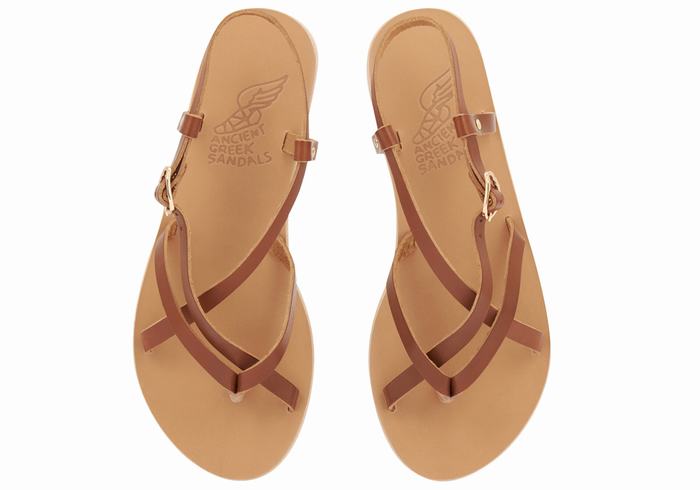 Ancient Greek Sandals Semele Leather Women Back-Strap Sandals Dark Brown | NBL7336IO