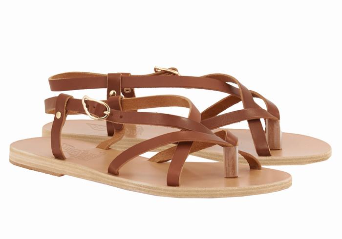 Ancient Greek Sandals Semele Leather Women Back-Strap Sandals Dark Brown | NBL7336IO