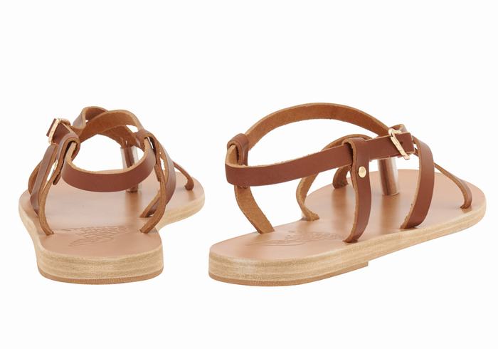 Ancient Greek Sandals Semele Leather Women Back-Strap Sandals Dark Brown | NBL7336IO