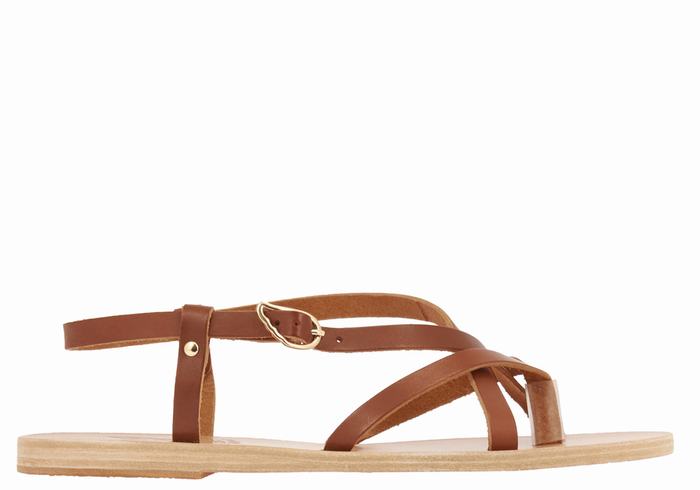 Ancient Greek Sandals Semele Leather Women Back-Strap Sandals Dark Brown | NBL7336IO