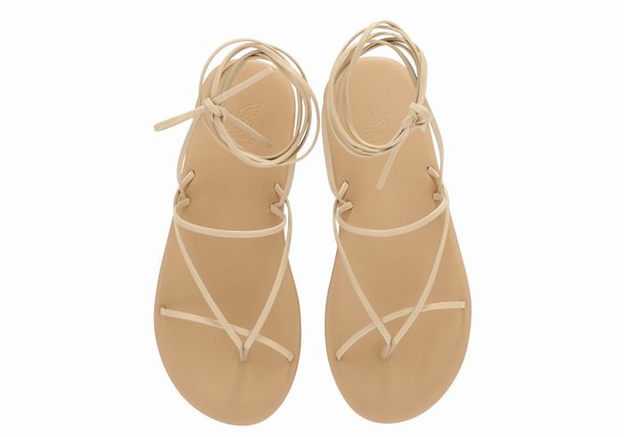 Ancient Greek Sandals String Women Gladiator Sandals Beige | UWB2811ZD