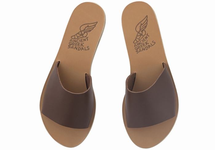 Ancient Greek Sandals Taygete Women Slide Sandals Coffee | DDP1691QQ