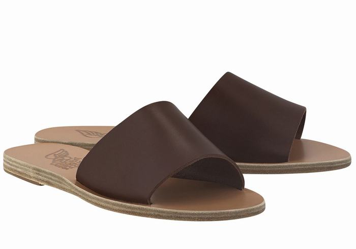 Ancient Greek Sandals Taygete Women Slide Sandals Coffee | DDP1691QQ