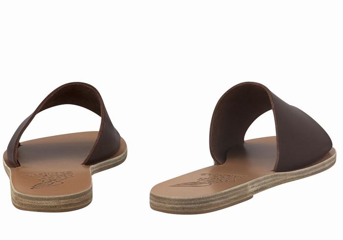 Ancient Greek Sandals Taygete Women Slide Sandals Coffee | DDP1691QQ