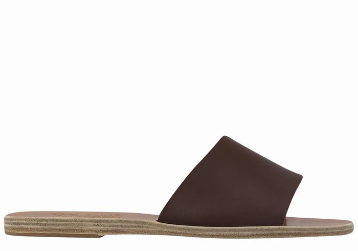 Ancient Greek Sandals Taygete Women Slide Sandals Coffee | DDP1691QQ