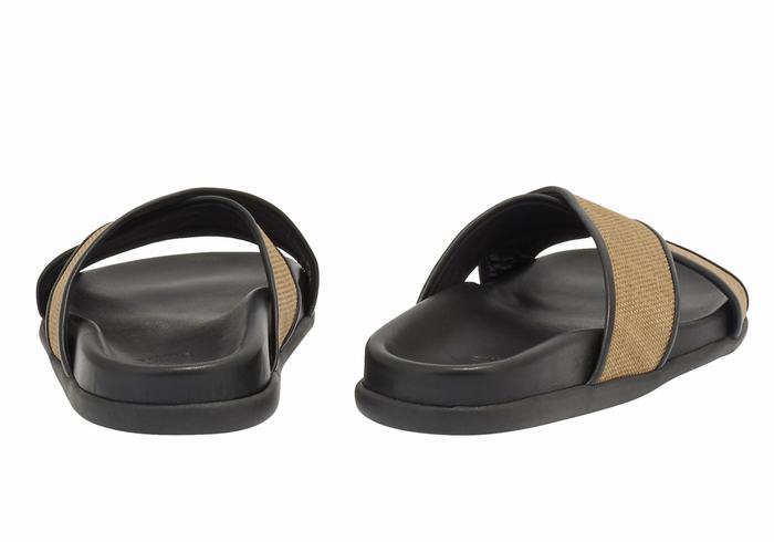 Ancient Greek Sandals Thais Footbed Women Slide Sandals Brown Black | PDK2420FC