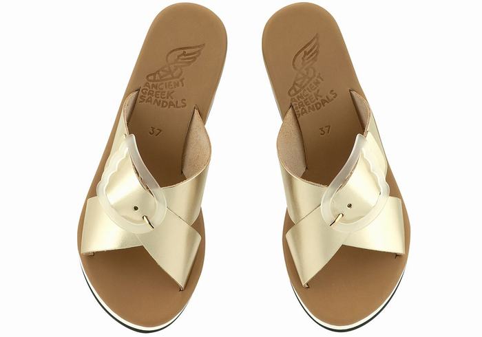 Ancient Greek Sandals Thais Rainbow Women Wedge Sandals Gold White | DHR1352WT