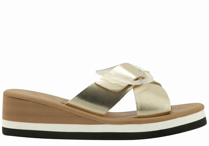 Ancient Greek Sandals Thais Rainbow Women Wedge Sandals Gold White | DHR1352WT