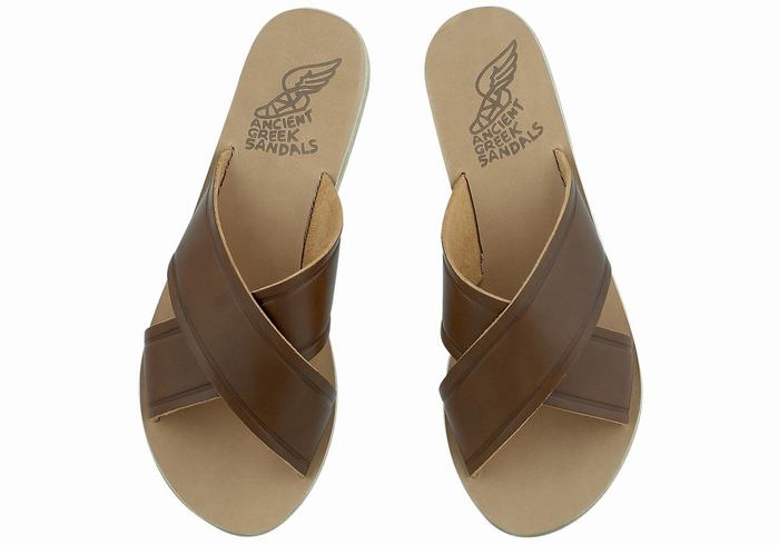 Ancient Greek Sandals Thais Women Slide Sandals Dark Brown | GEJ7852MB