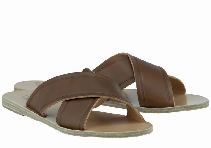 Ancient Greek Sandals Thais Women Slide Sandals Dark Brown | GEJ7852MB