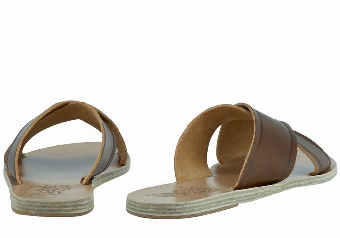 Ancient Greek Sandals Thais Women Slide Sandals Dark Brown | GEJ7852MB