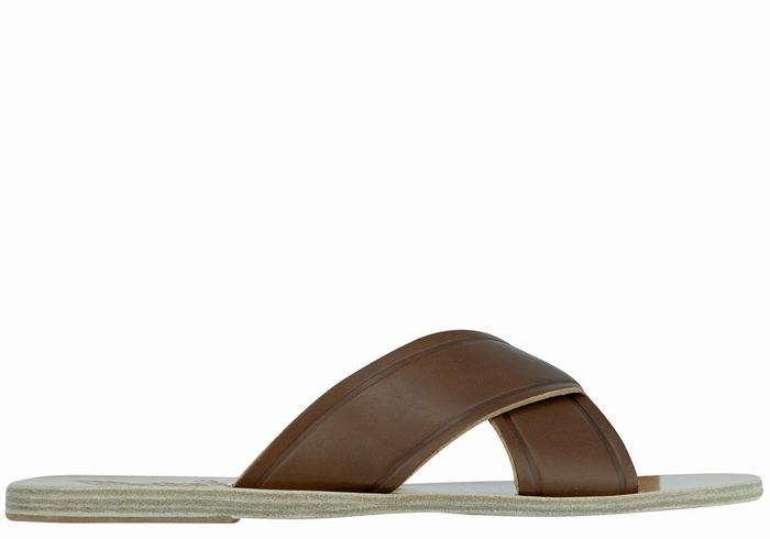 Ancient Greek Sandals Thais Women Slide Sandals Dark Brown | GEJ7852MB