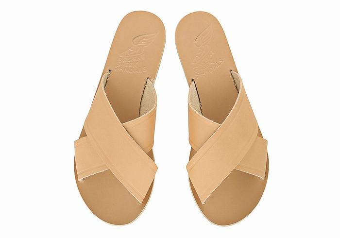 Ancient Greek Sandals Thais Women Slide Sandals Beige | RMC637KL