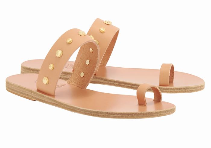 Ancient Greek Sandals Thalia Bee Women Toe-Post Sandals Beige | CTZ7785IM