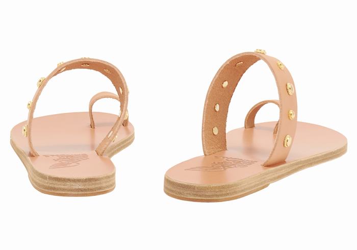 Ancient Greek Sandals Thalia Bee Women Toe-Post Sandals Beige | CTZ7785IM