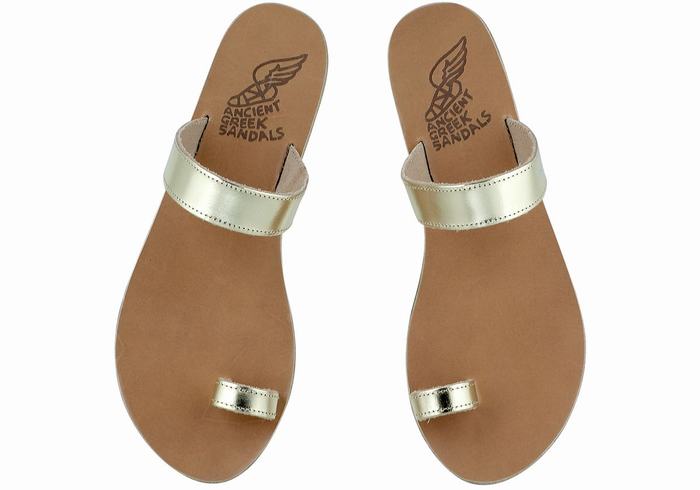 Ancient Greek Sandals Thalia Leather Women Toe-Post Sandals Gold White | ZWZ5276QN