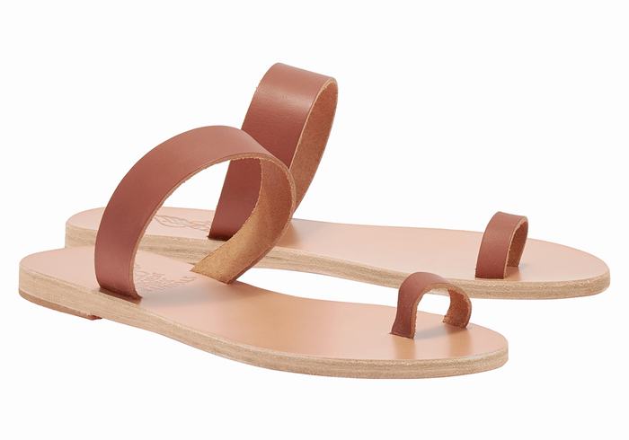 Ancient Greek Sandals Thalia Leather Women Toe-Post Sandals Dark Brown | SHP3584ZI