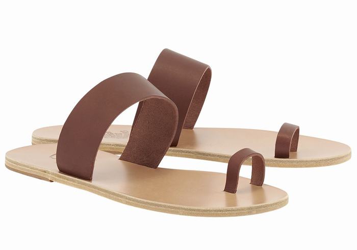 Ancient Greek Sandals Thalos Men Toe-Post Sandals Coffee | MEV8379FF