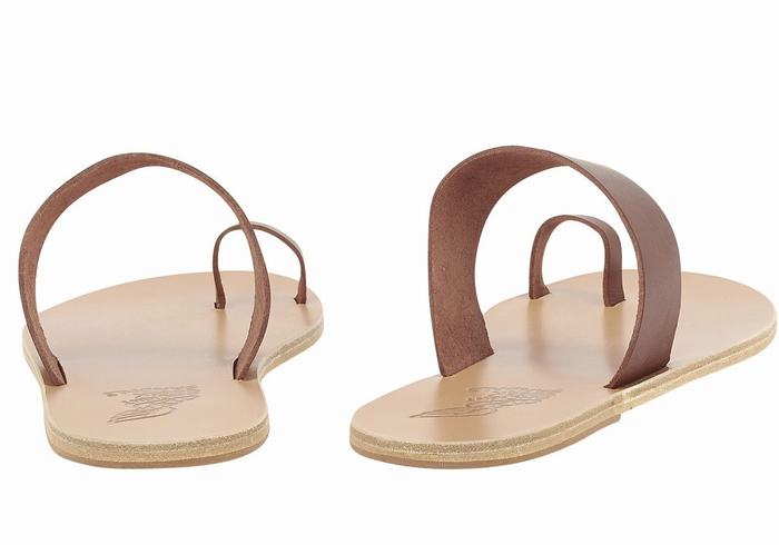 Ancient Greek Sandals Thalos Men Toe-Post Sandals Coffee | MEV8379FF