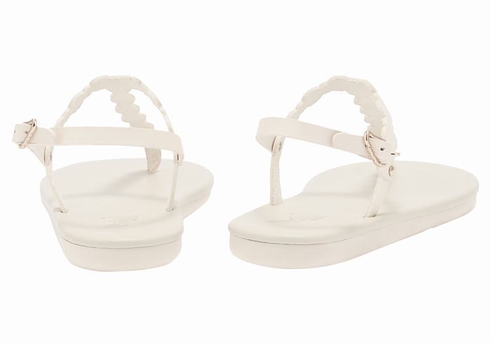 Ancient Greek Sandals Velos Flip Flop Women Back-Strap Sandals White | ZUH5225XJ