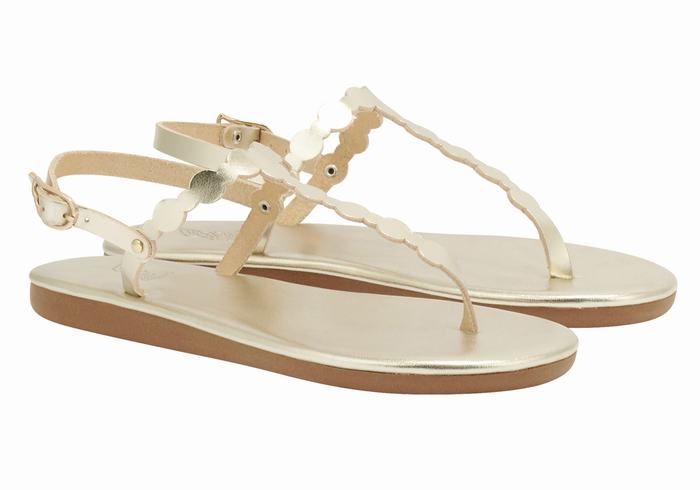 Ancient Greek Sandals Velos Flip Flop Women Back-Strap Sandals Gold White | LYX4869KW