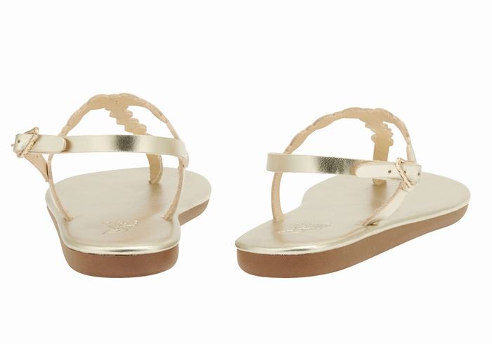 Ancient Greek Sandals Velos Flip Flop Women Back-Strap Sandals Gold White | LYX4869KW