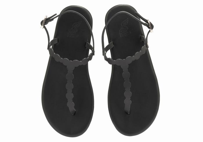 Ancient Greek Sandals Velos Flip Flop Women Back-Strap Sandals Black | XJG901YK