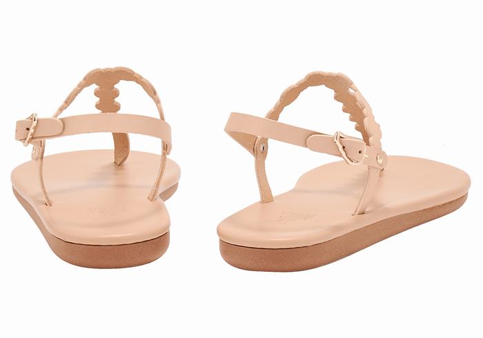 Ancient Greek Sandals Velos Flip Flop Women Back-Strap Sandals Beige | YMU4391JS