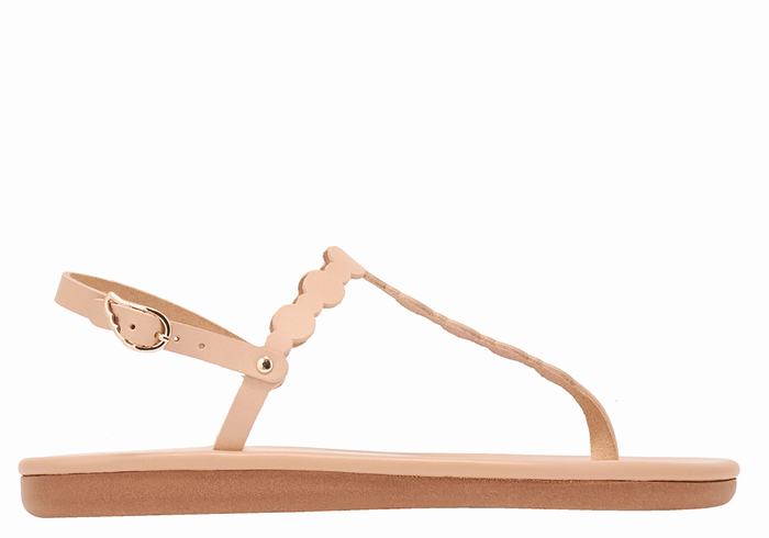 Ancient Greek Sandals Velos Flip Flop Women Back-Strap Sandals Beige | YMU4391JS