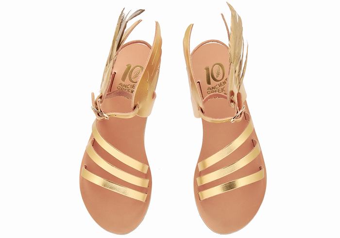 Ancient Greek Sandals Victory Of Samothrace Women Ankle Strap Sandals Gold | MIG9626QM