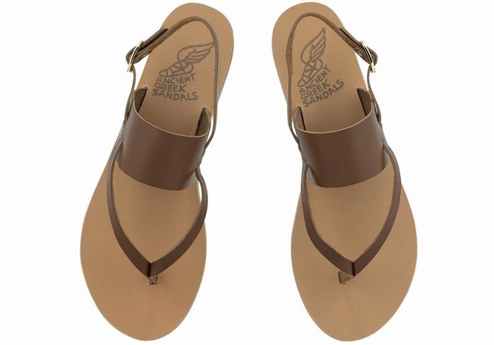 Ancient Greek Sandals Zoe Flip Flop Leather Women Back-Strap Sandals Dark Brown | AYD3969HN