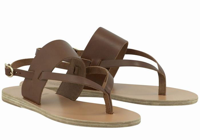 Ancient Greek Sandals Zoe Flip Flop Leather Women Back-Strap Sandals Dark Brown | AYD3969HN