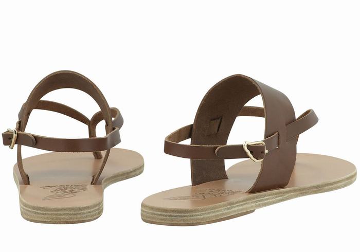 Ancient Greek Sandals Zoe Flip Flop Leather Women Back-Strap Sandals Dark Brown | AYD3969HN