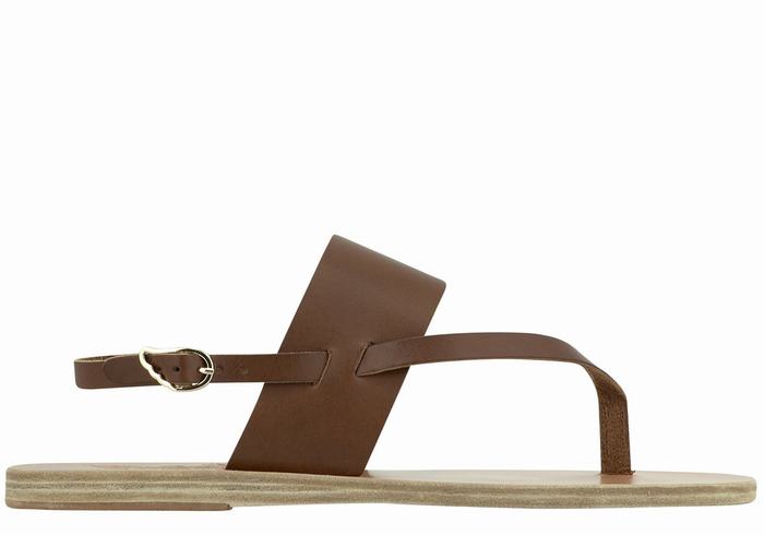 Ancient Greek Sandals Zoe Flip Flop Leather Women Back-Strap Sandals Dark Brown | AYD3969HN