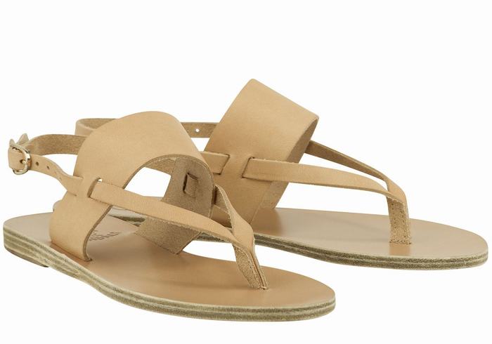 Ancient Greek Sandals Zoe Flip Flop Leather Women Back-Strap Sandals Beige | KNQ8853UH