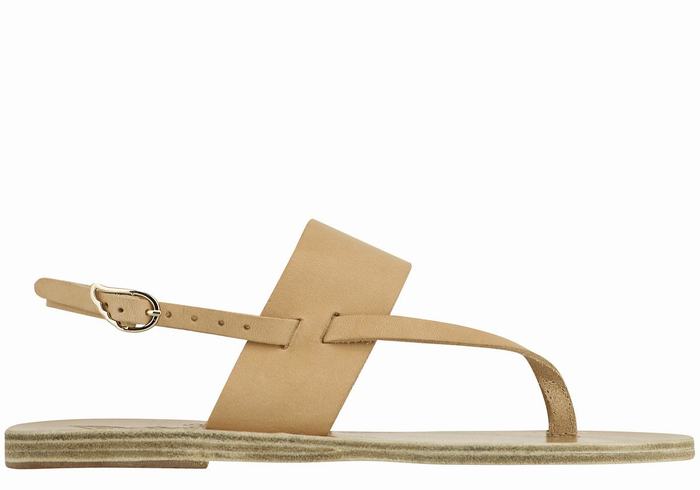 Ancient Greek Sandals Zoe Flip Flop Leather Women Back-Strap Sandals Beige | KNQ8853UH